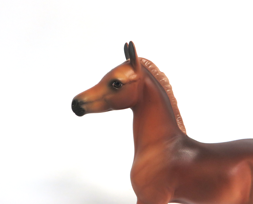 APONA-OOAK CHESTNUT ARABIAN FOAL MODEL HORSE BY AUDREY DIXON 3/22/19