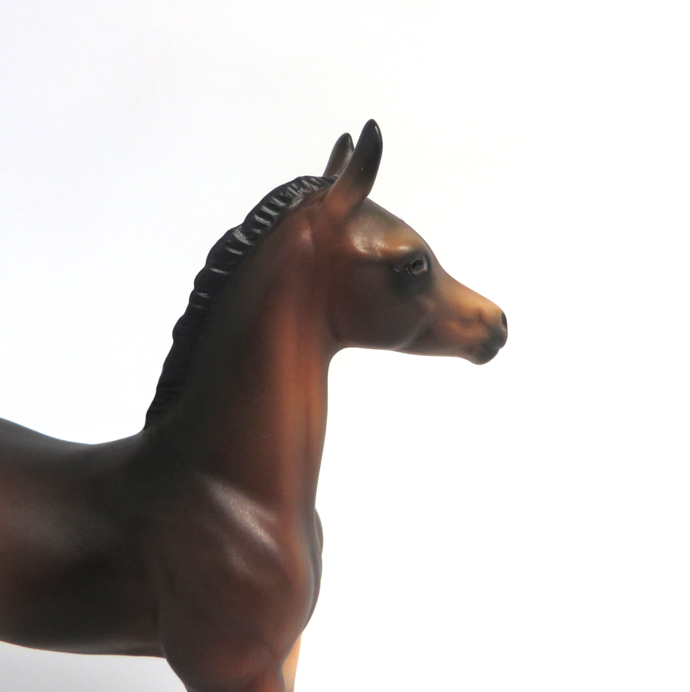 LAVITA-OOAK DARK BAY FOAL MODEL HORSE BY AUDREY DIXON 3/22/19