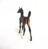 LAVITA-OOAK DARK BAY FOAL MODEL HORSE BY AUDREY DIXON 3/22/19