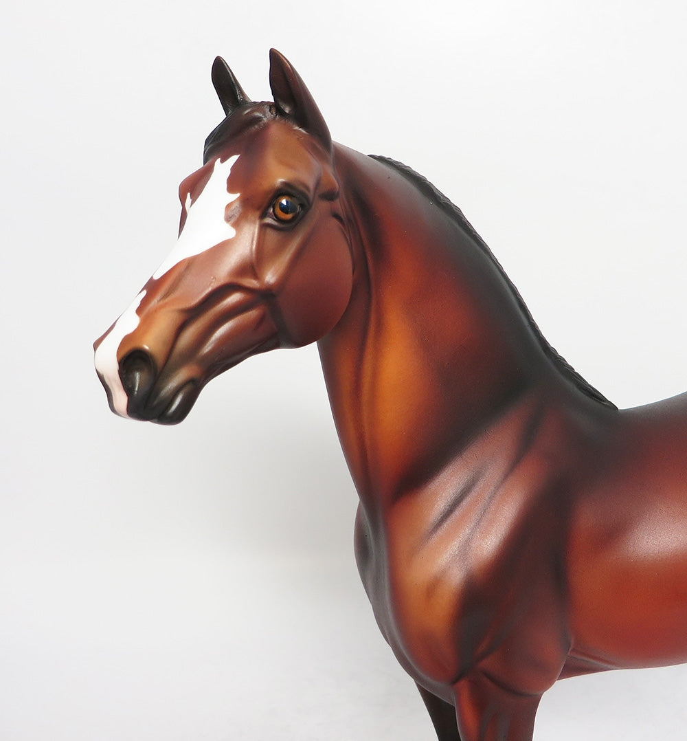 HOOTIE-OOAK CM BAY MORGAN MODEL HORSE BY DAWN QUICK EQ 2018