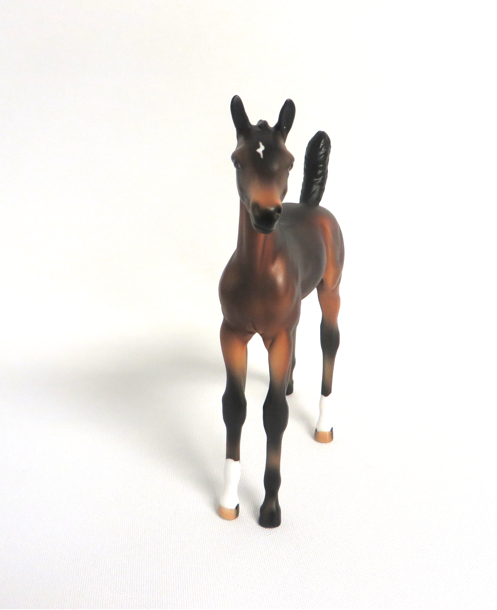 LAVITA-OOAK DARK BAY FOAL MODEL HORSE BY AUDREY DIXON 3/22/19