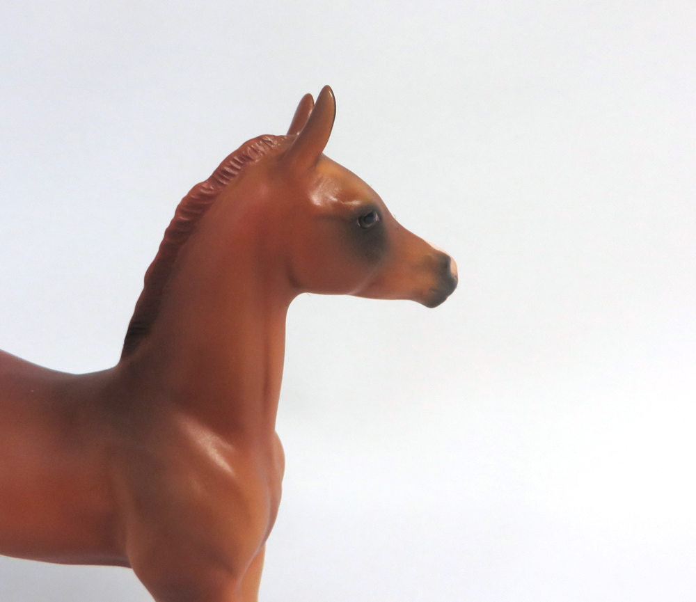GLAMOUR SHOT-OOAK LIGHT CHESTNUT ARABIAN FOAL MODEL HORSE BY AUDREY DIXON 3/22/19