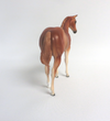 SATIN DOLL-OOAK LIGHT CHESTNUT WEANLING MODEL HORSE BY AUDREY DIXON 3/22/19