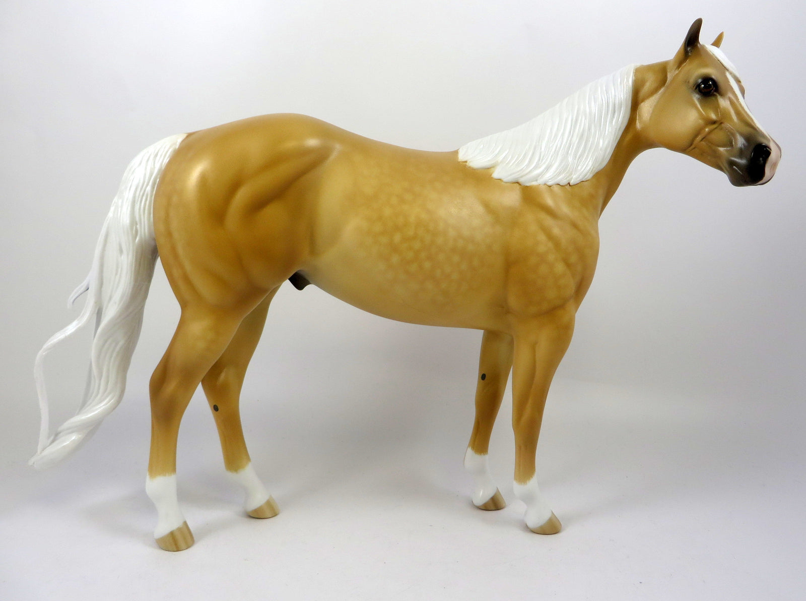 palomino