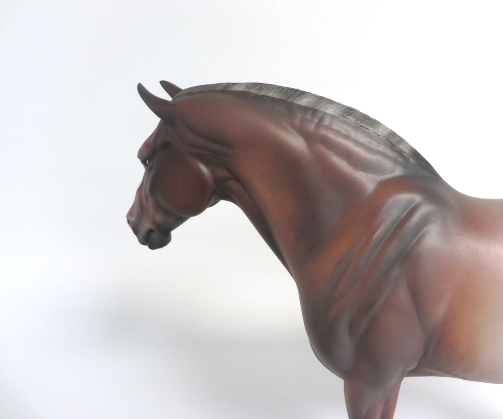 BONITA   --  LE-5 BAY ROAN HEAVY DRAFT MARE CUSTOM BY JULIE KEIM 3-22-19