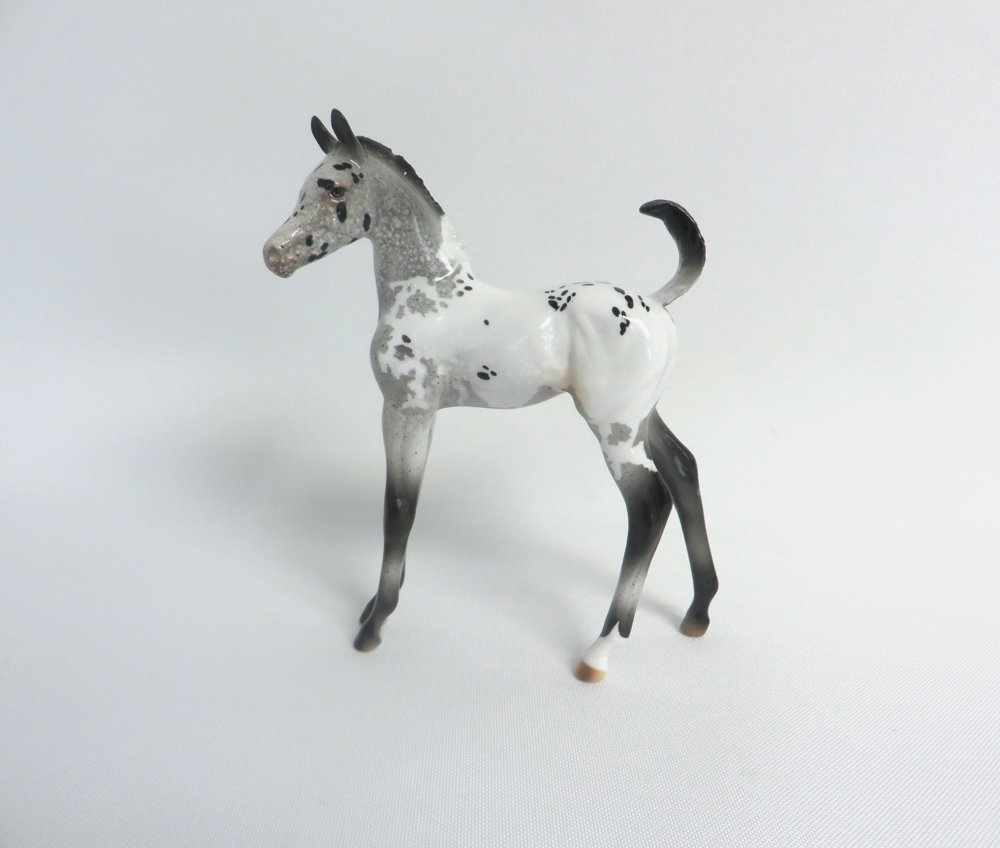 PUPPY TOOTH-LE-30 APPALOOSA CM FOAL WITH FLIPPED TAIL MODEL HORSE SHCF 2019