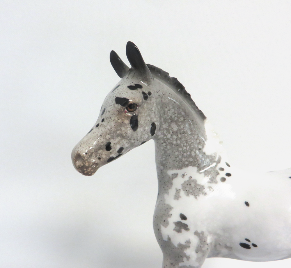 PUPPY TOOTH-LE-30 APPALOOSA CM FOAL WITH FLIPPED TAIL MODEL HORSE SHCF 2019