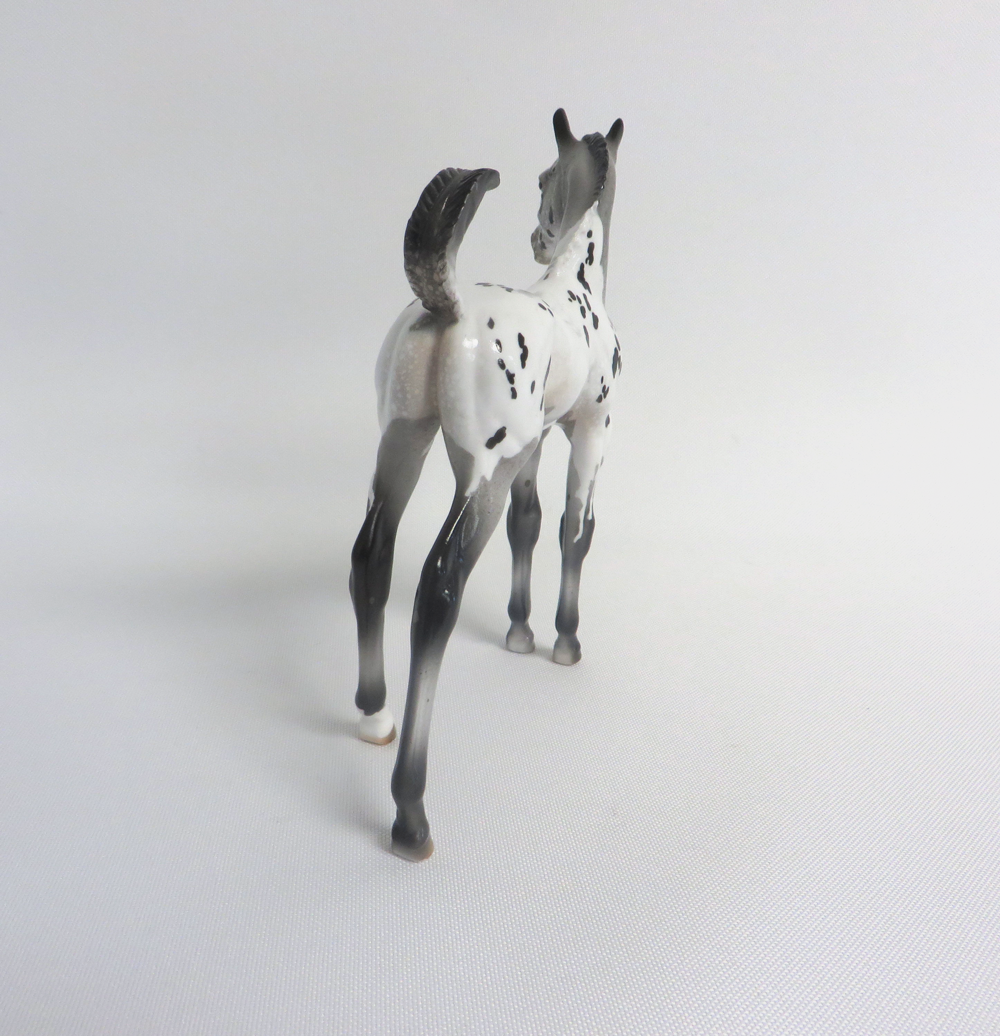 PUPPY TOOTH-LE-30 APPALOOSA CM FOAL WITH FLIPPED TAIL MODEL HORSE SHCF 2019