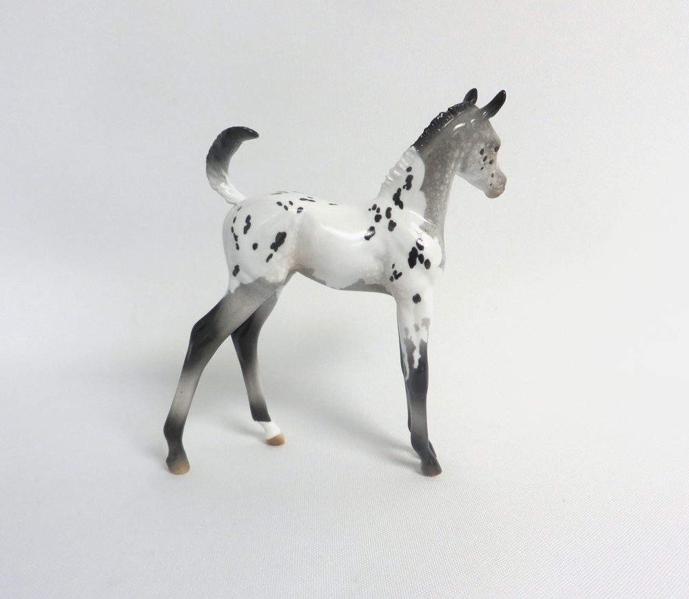 PUPPY TOOTH-LE-30 APPALOOSA CM FOAL WITH FLIPPED TAIL MODEL HORSE SHCF 2019