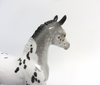 PUPPY TOOTH-LE-30 APPALOOSA CM FOAL WITH FLIPPED TAIL MODEL HORSE SHCF 2019