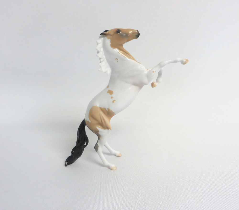 MADISON - LE-30 BUCKSKIN REARING PEBBLE BY DAWN QUICK EA19 MW19