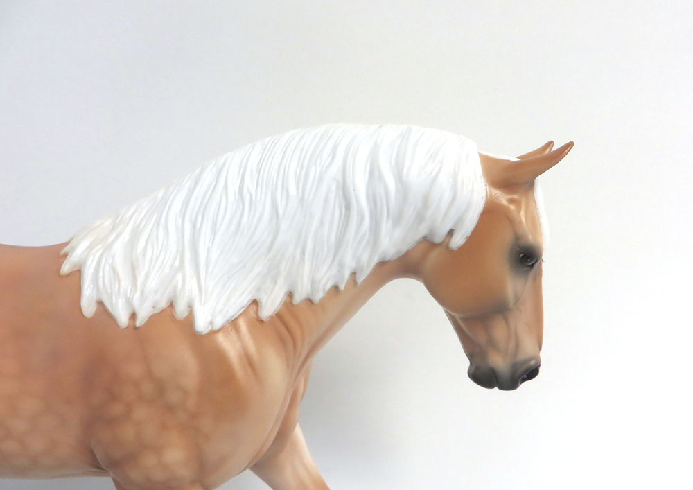 ALTOONA- LE-15 DAPPLED  PALOMINO IRISH DRAFT BY AUDREY DIXON EA19 MW19