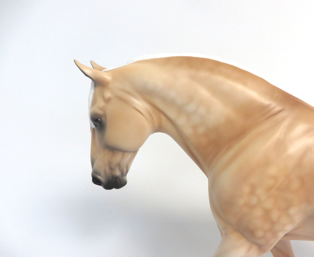 ALTOONA- LE-15 DAPPLED  PALOMINO IRISH DRAFT BY AUDREY DIXON EA19 MW19