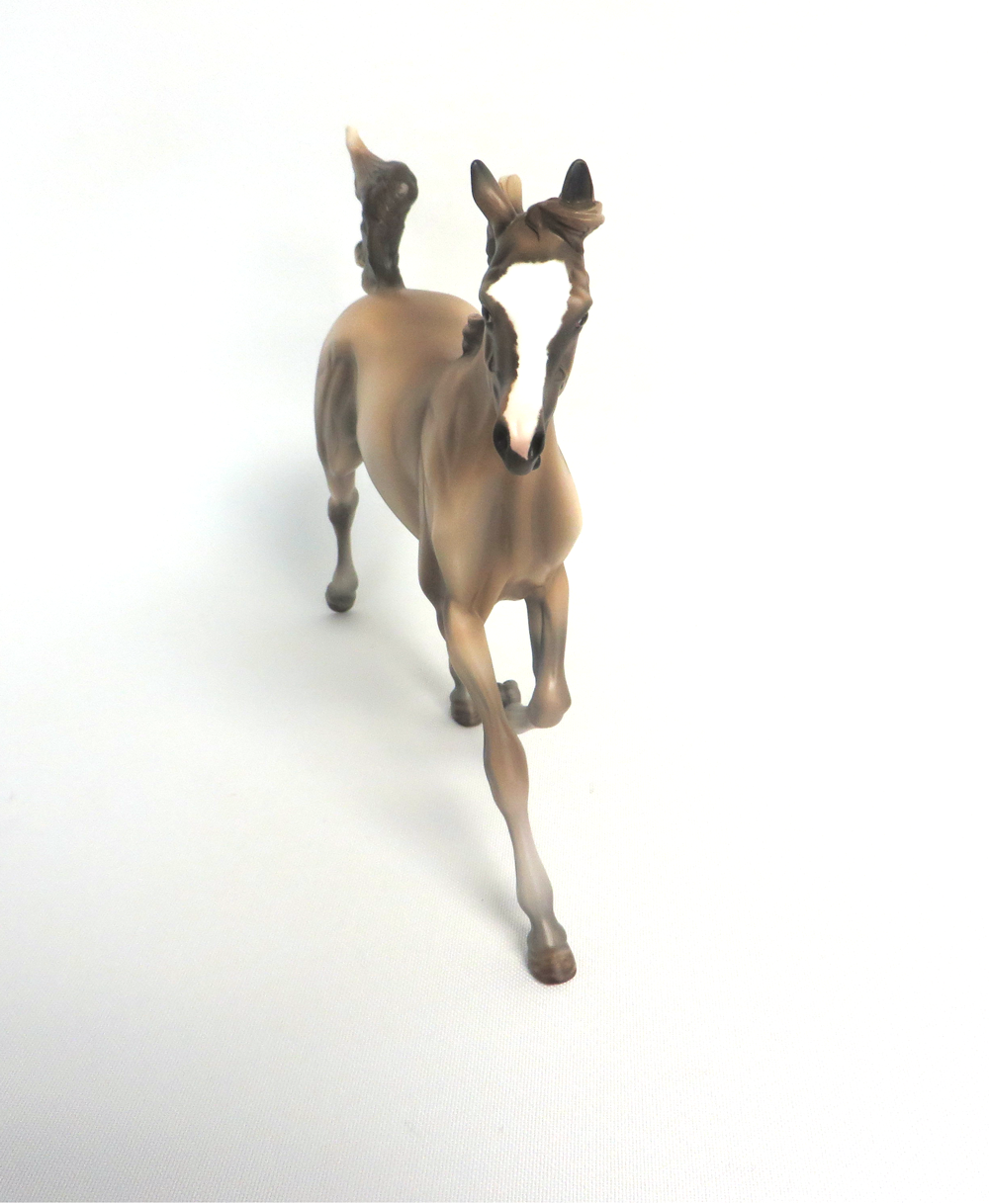 BUTTERBALL -- OOAK BUCKSKIN YEARLING BY MISSY FOX MW19