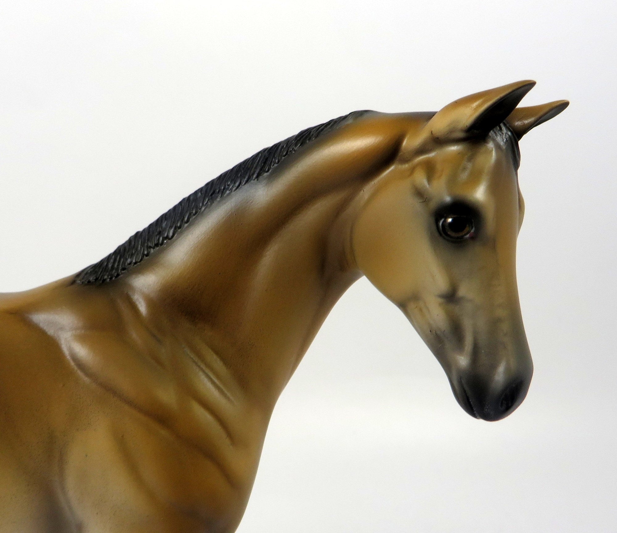 TOP DOLLAR-OOAK BABY BUCKSKIN WEANLING BY MISSY FOX 8/16/19