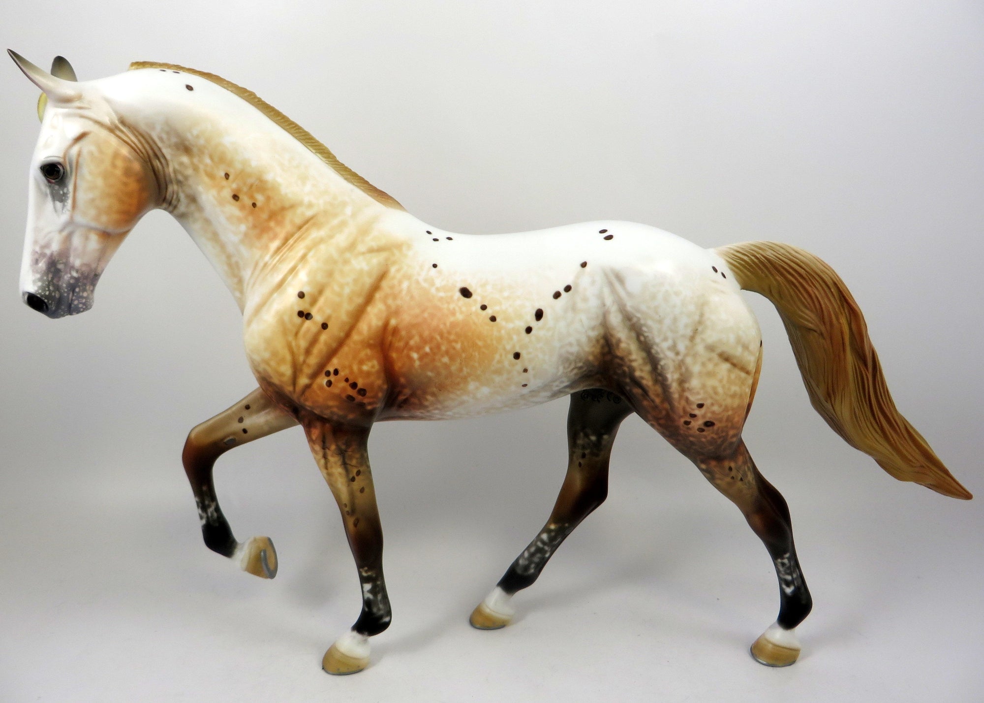 chestnut appaloosa