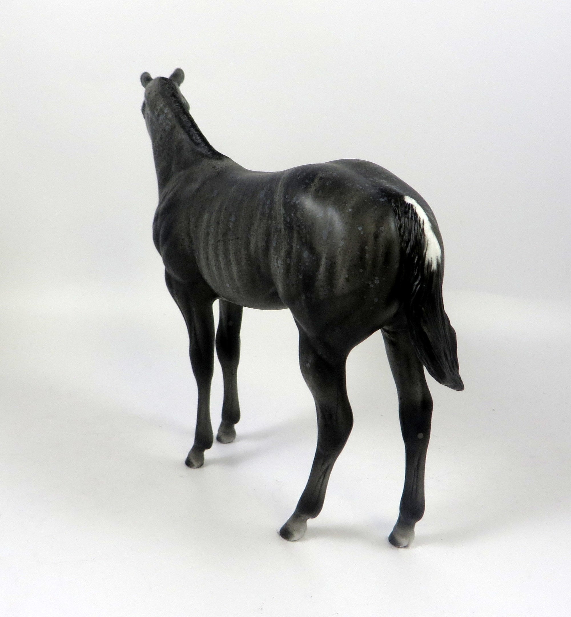 50 SHADES OF GREY-OOAK BRINDLE WEANLING BY AL 8/16/19