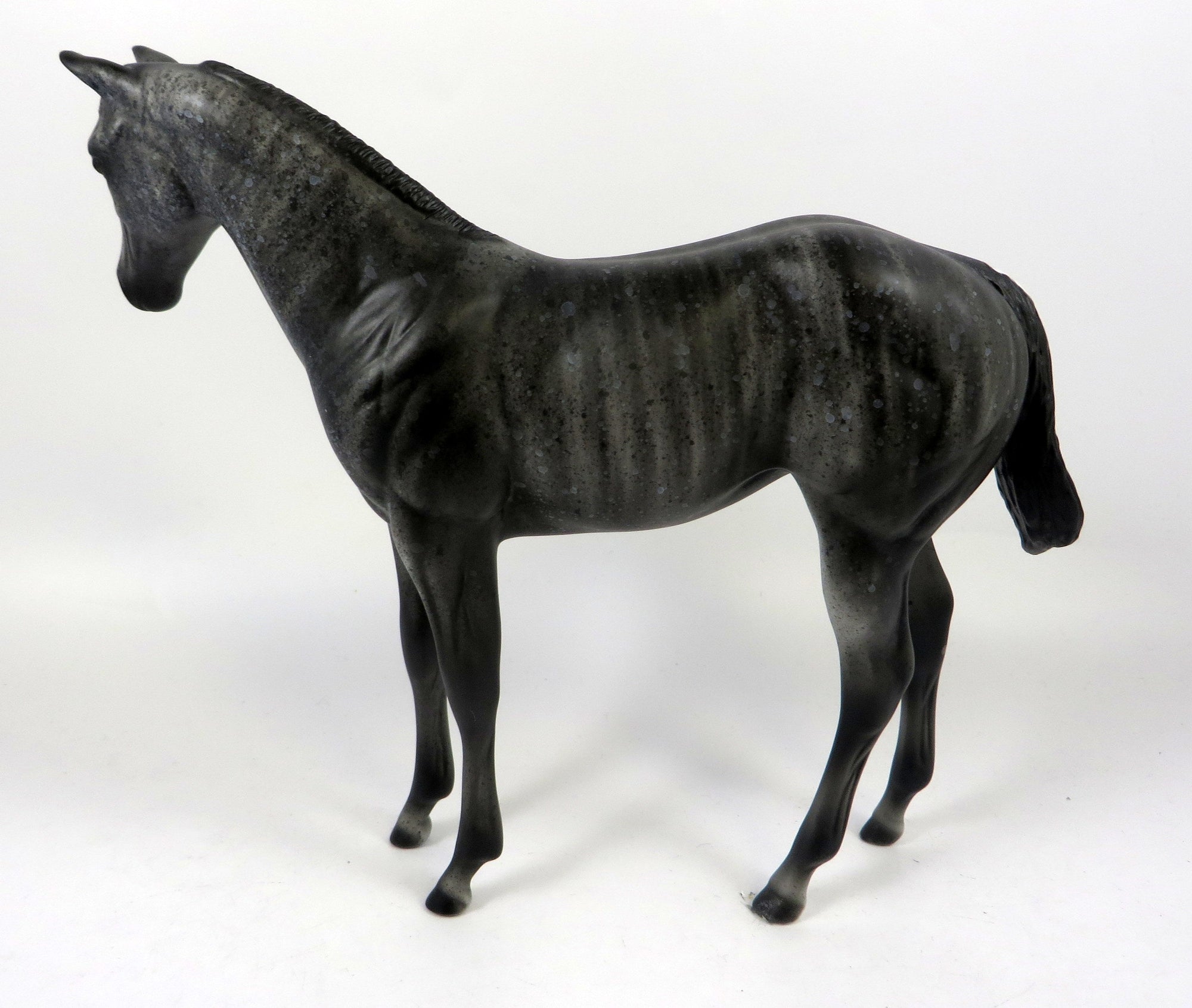 50 SHADES OF GREY-OOAK BRINDLE WEANLING BY AL 8/16/19