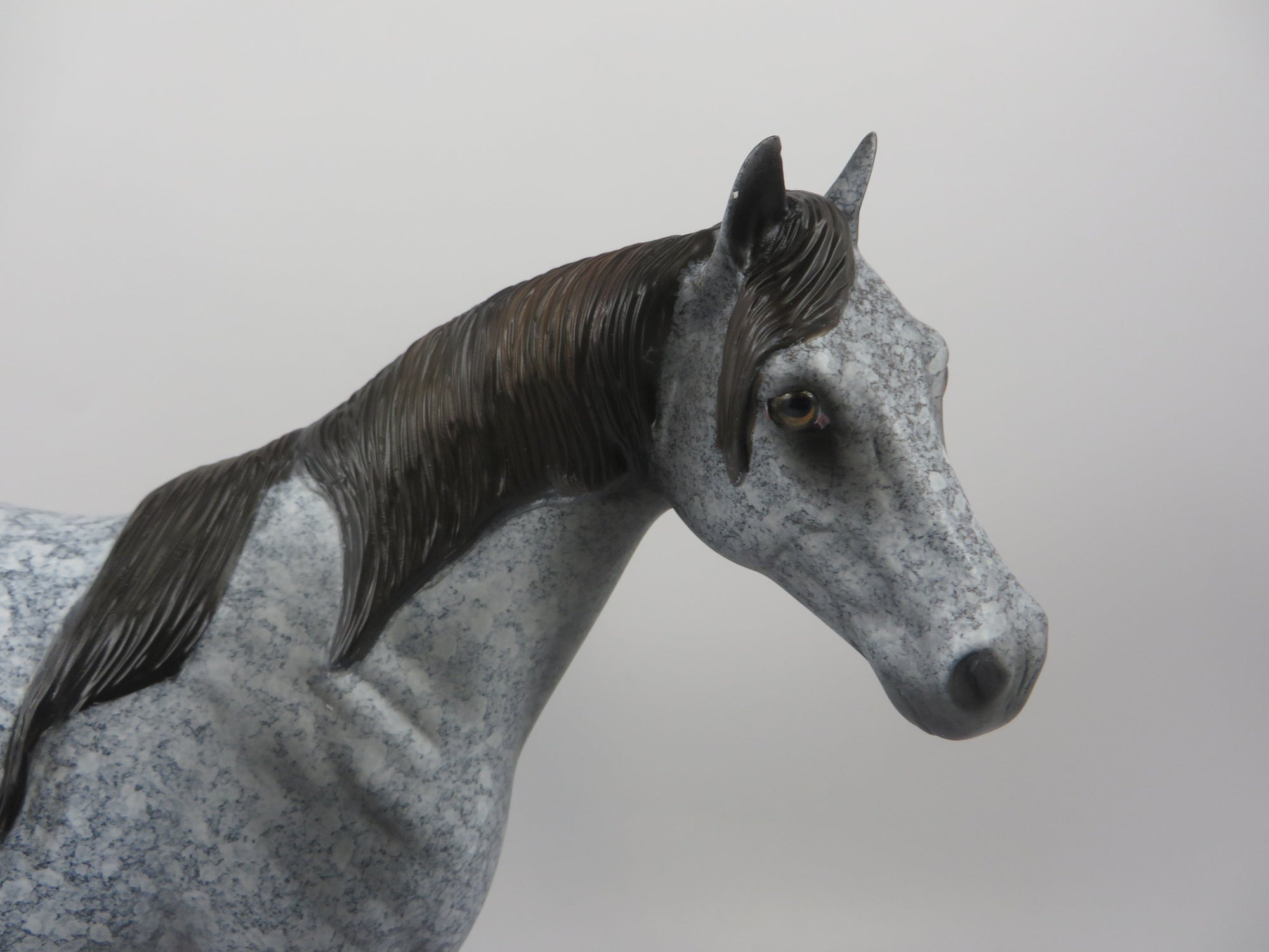 WINSLOW-OOAK DAPPLE GREY ISH MODEL  HORSE 8/16/19