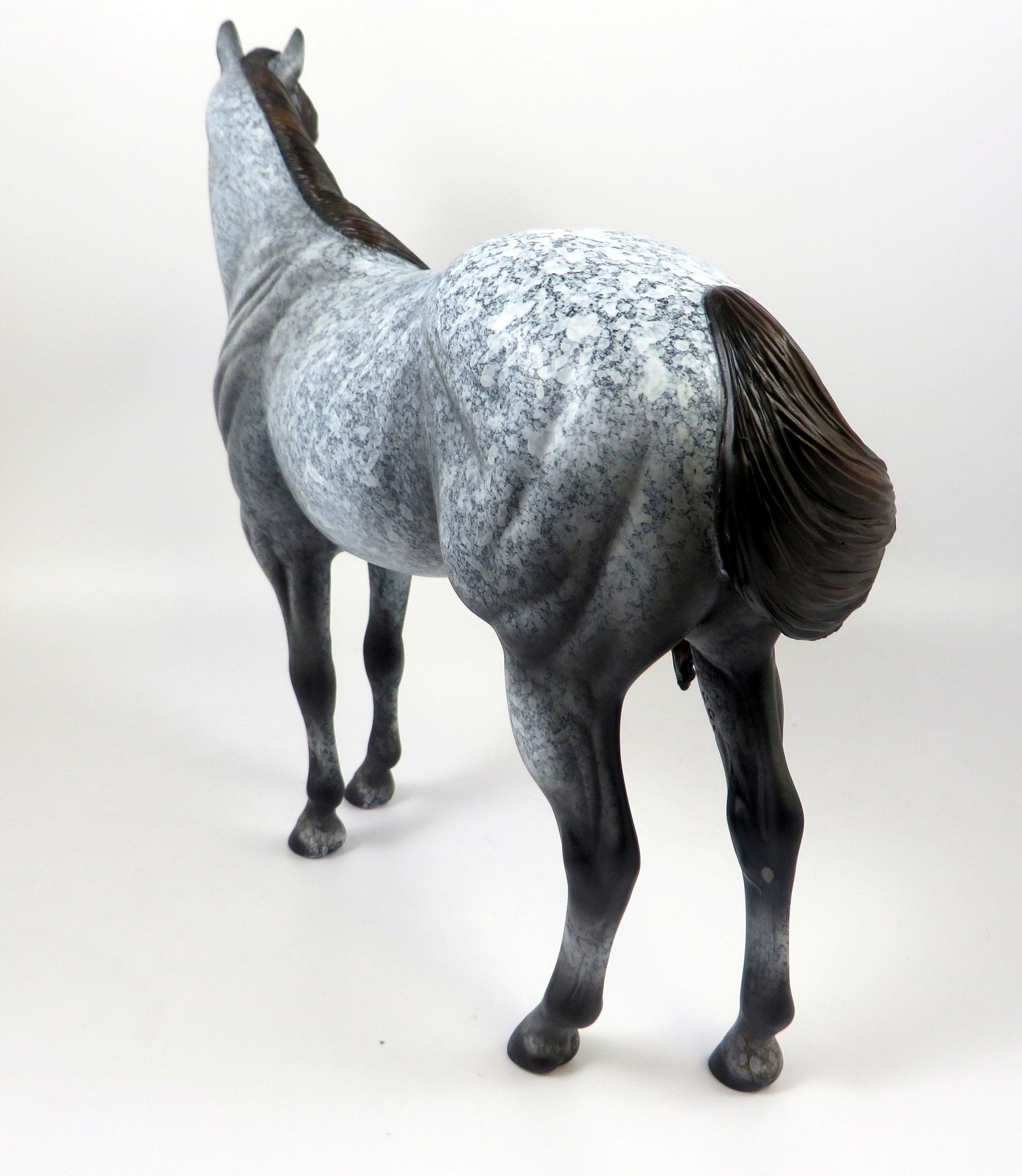 WINSLOW-OOAK DAPPLE GREY ISH MODEL  HORSE 8/16/19