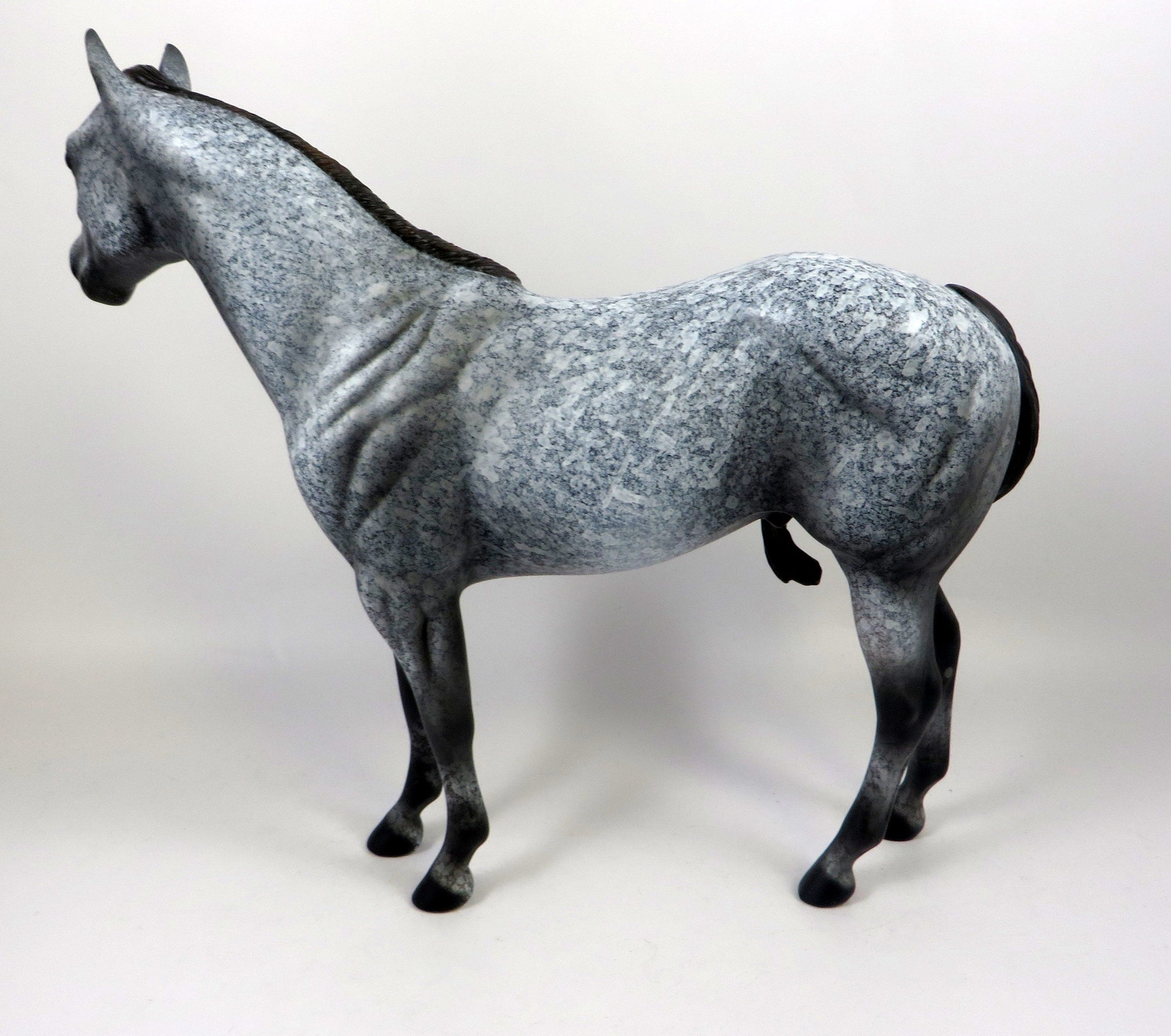 WINSLOW-OOAK DAPPLE GREY ISH MODEL  HORSE 8/16/19