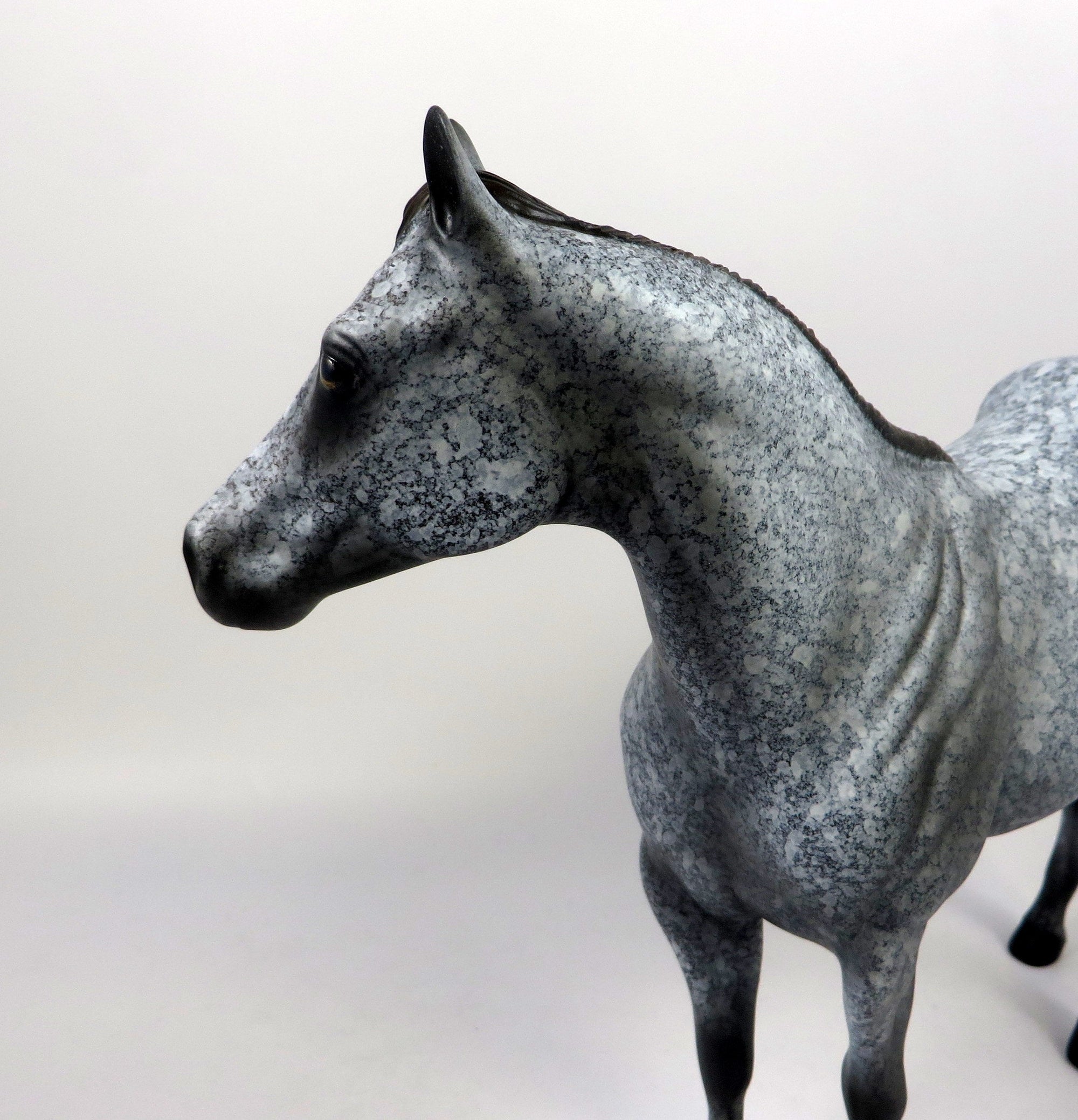 WINSLOW-OOAK DAPPLE GREY ISH MODEL  HORSE 8/16/19