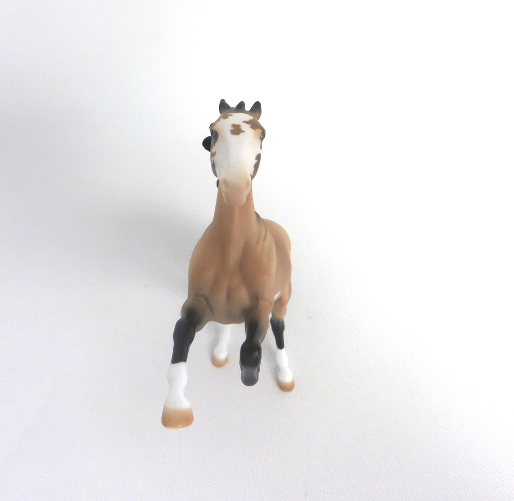 RUSSELL - OOAK BUCKSKIN OVERO REARING PEBBLE BY AUDREY DIXON 3-27-19