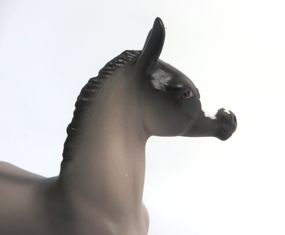 NIGHTMARE - OOAK GRULLA  ARABIAN FOAL BY AUDREY DIXON 3-27-19