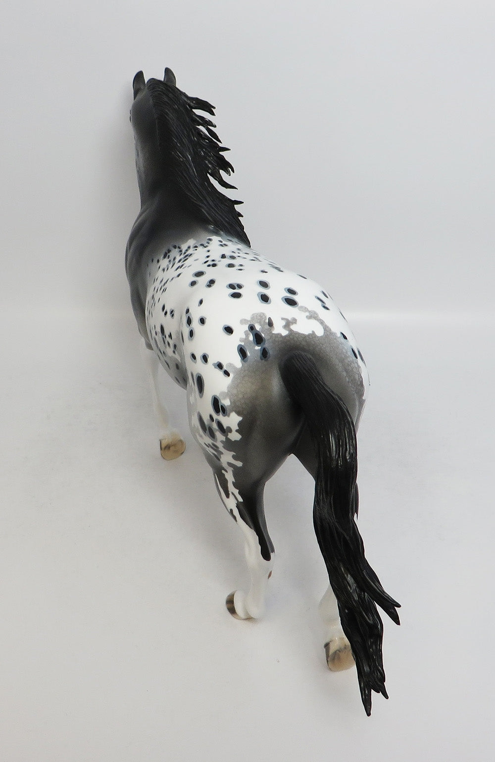 NIGHTINGALE-OOAK APPALOOSA THOROUGHBRED MODEL HORSE BY DAWN QUICK 7/19/18
