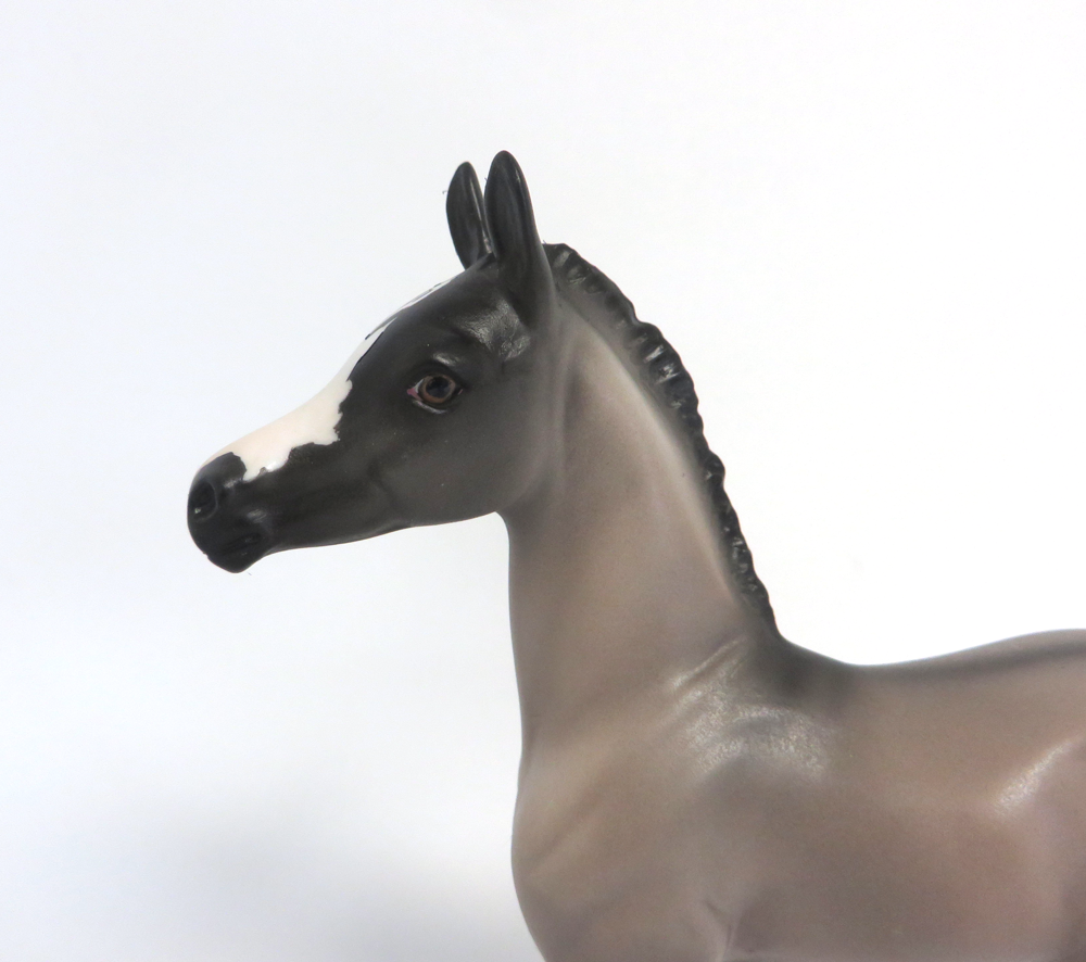 NIGHTMARE - OOAK GRULLA  ARABIAN FOAL BY AUDREY DIXON 3-27-19