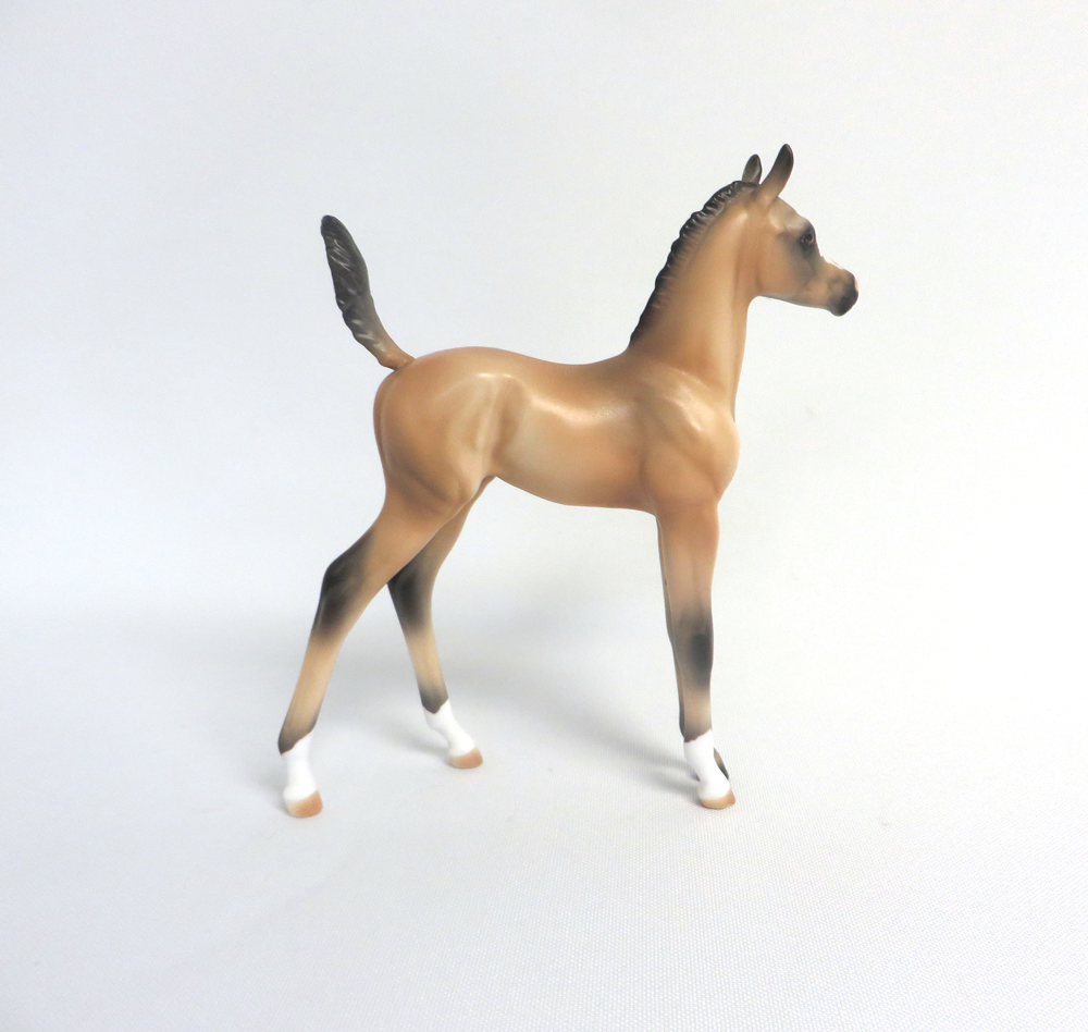 MAPLE STIRRUP- OOAK BUCKSKIN ARABIAN FOAL BY AUDREY DIXON 3-27-19