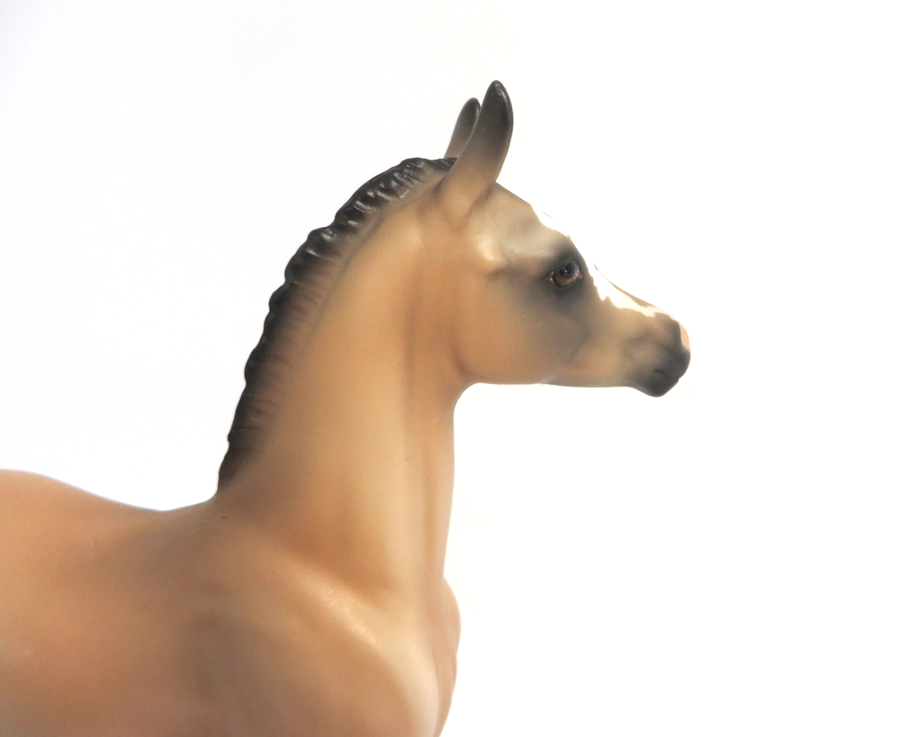 MAPLE STIRRUP- OOAK BUCKSKIN ARABIAN FOAL BY AUDREY DIXON 3-27-19