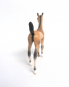 MAPLE STIRRUP- OOAK BUCKSKIN ARABIAN FOAL BY AUDREY DIXON 3-27-19