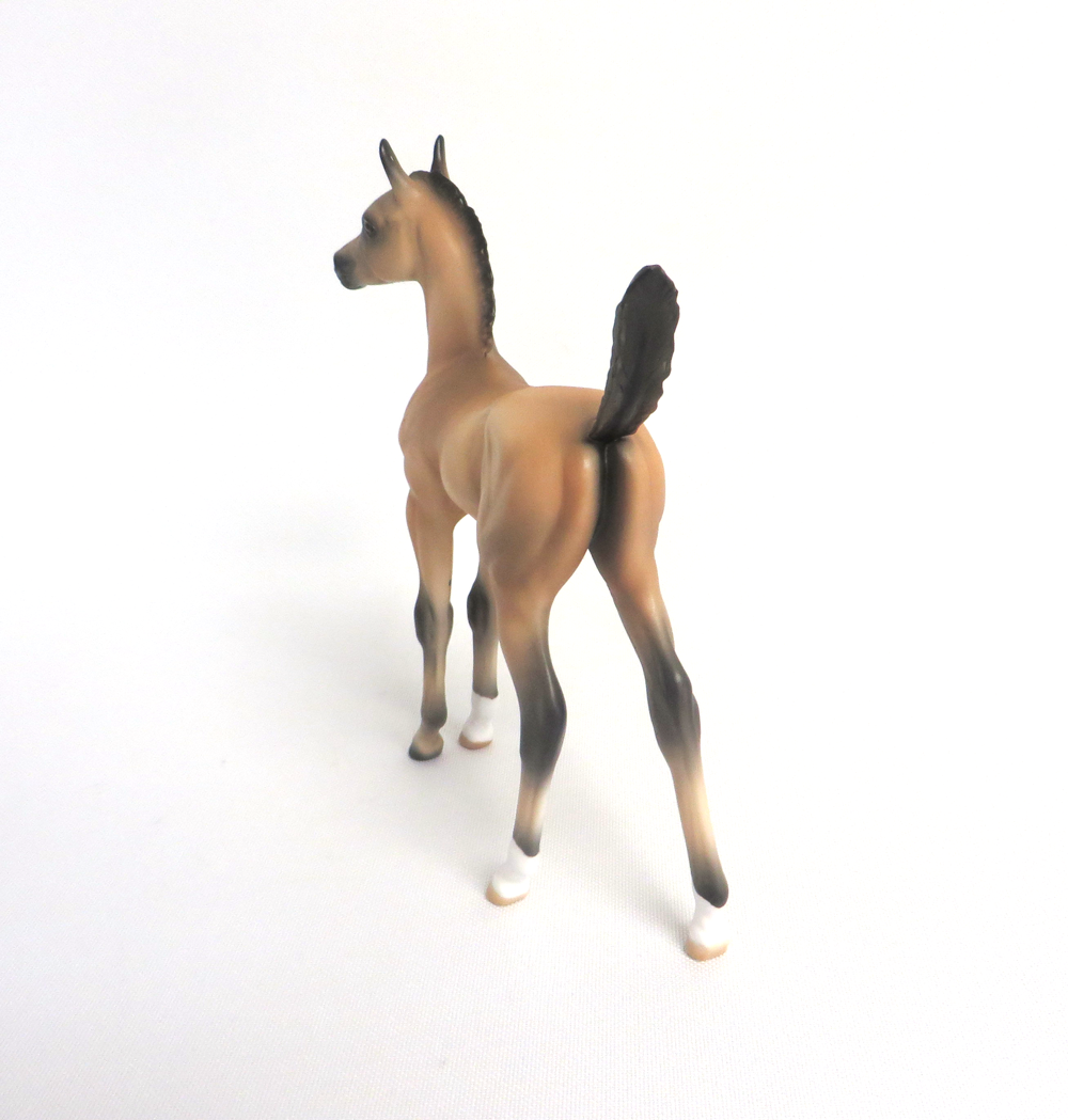 MAPLE STIRRUP- OOAK BUCKSKIN ARABIAN FOAL BY AUDREY DIXON 3-27-19