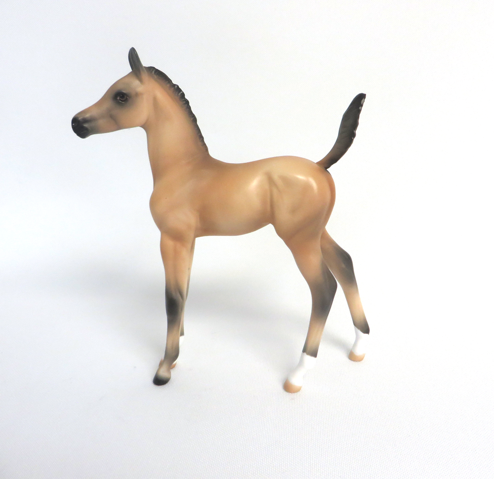 MAPLE STIRRUP- OOAK BUCKSKIN ARABIAN FOAL BY AUDREY DIXON 3-27-19