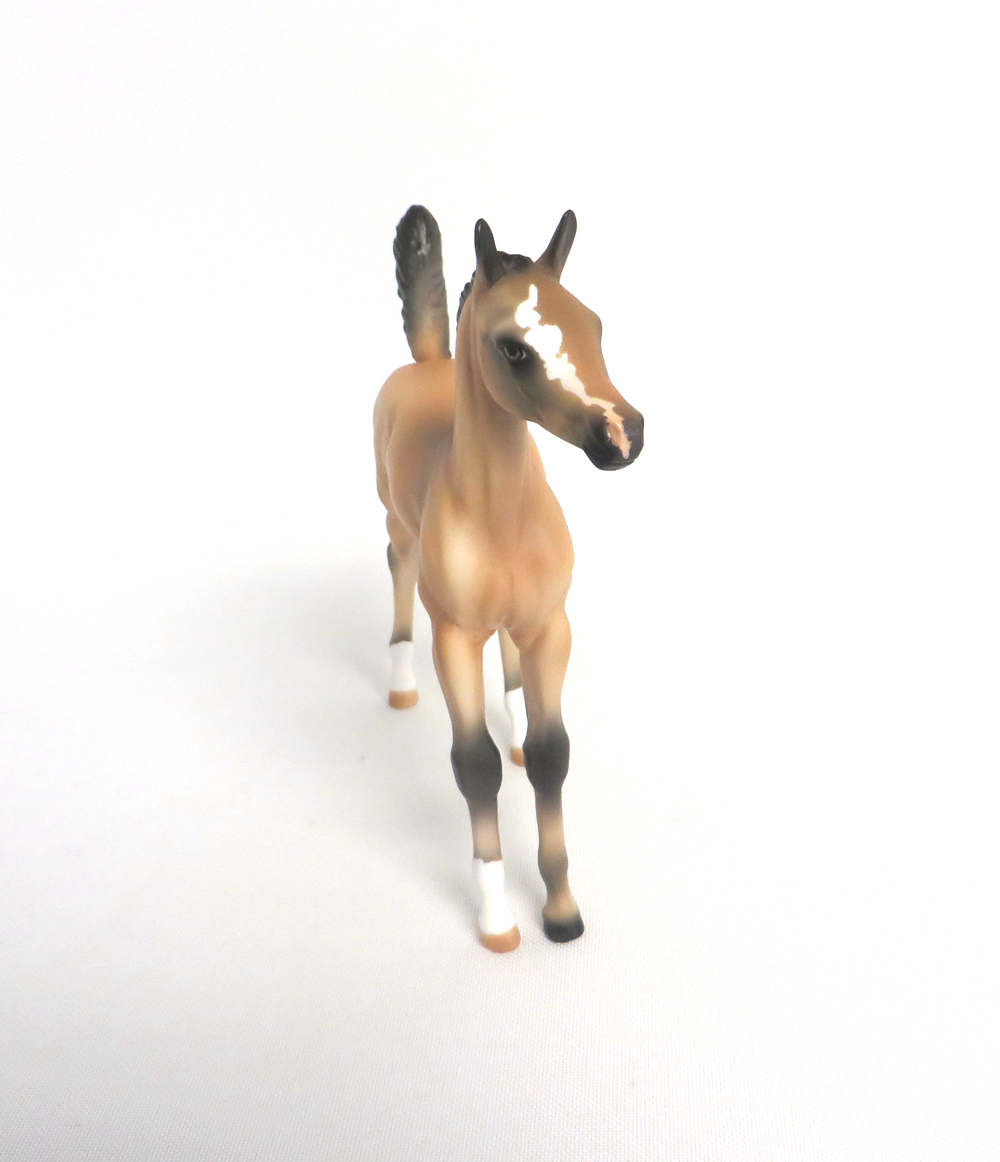 MAPLE STIRRUP- OOAK BUCKSKIN ARABIAN FOAL BY AUDREY DIXON 3-27-19