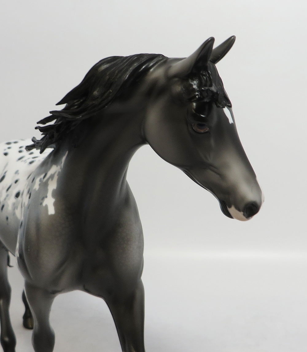 TEXAS ROSE-OOAK APPALOOSA PONY WITH CUSTOM MANE AND TAIL 7/20/18
