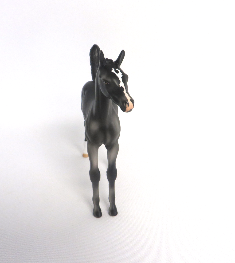 MY LITTLE PONY  - OOAK BLACK  ARABIAN FOAL BY AUDREY DIXON 3-27-19
