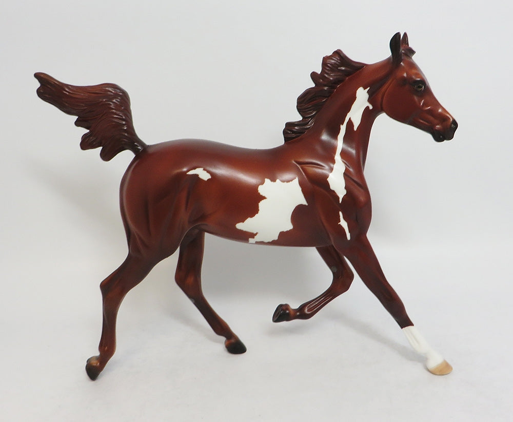 SARAH-LE-7 CHESTNUT PINTO YEARLING EQ 2018