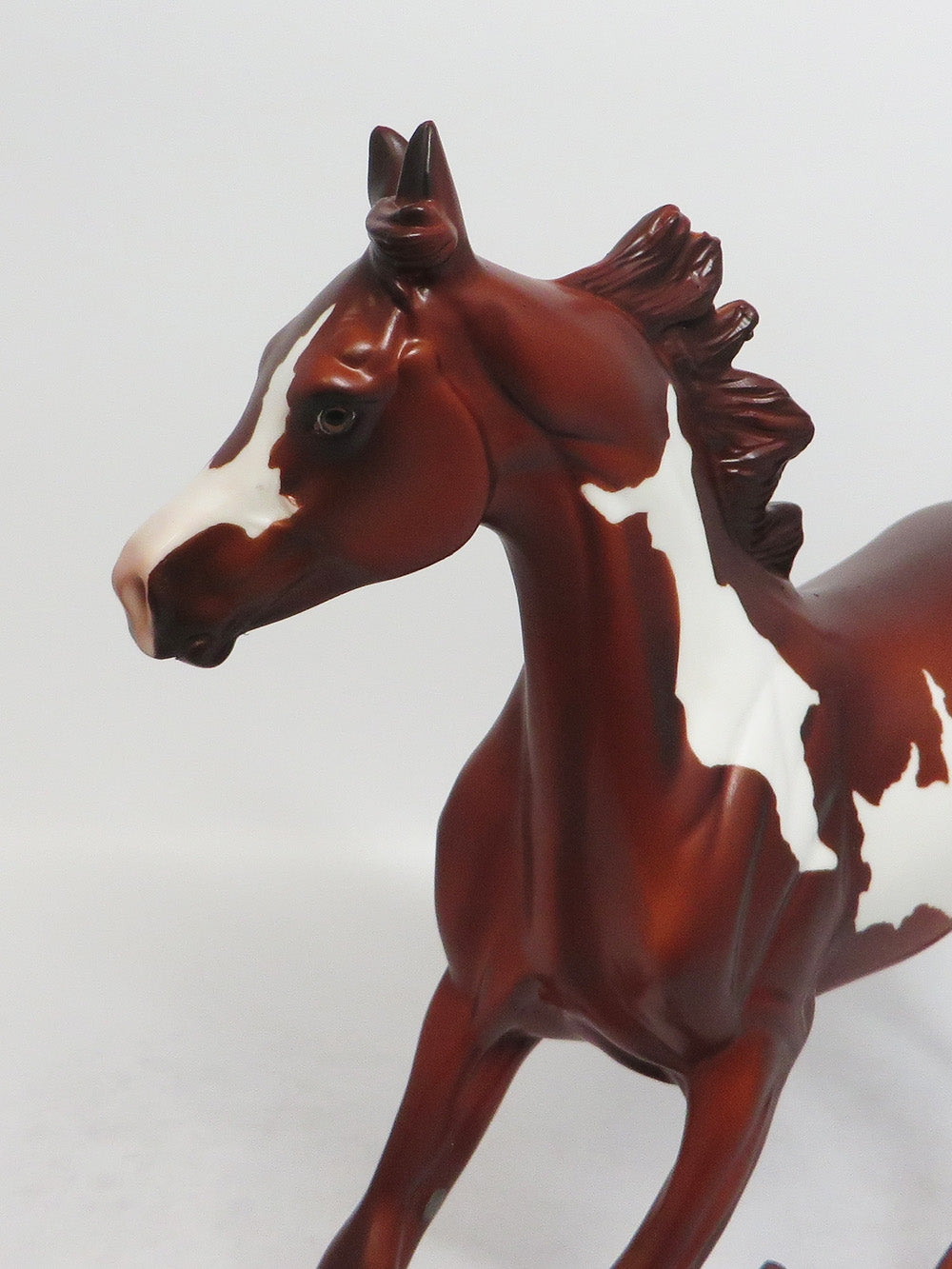 SARAH-LE-7 CHESTNUT PINTO YEARLING EQ 2018