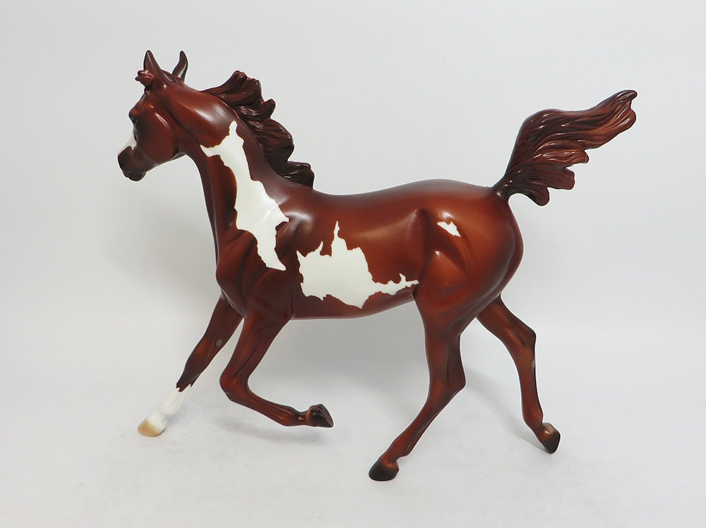 SARAH-LE-7 CHESTNUT PINTO YEARLING EQ 2018