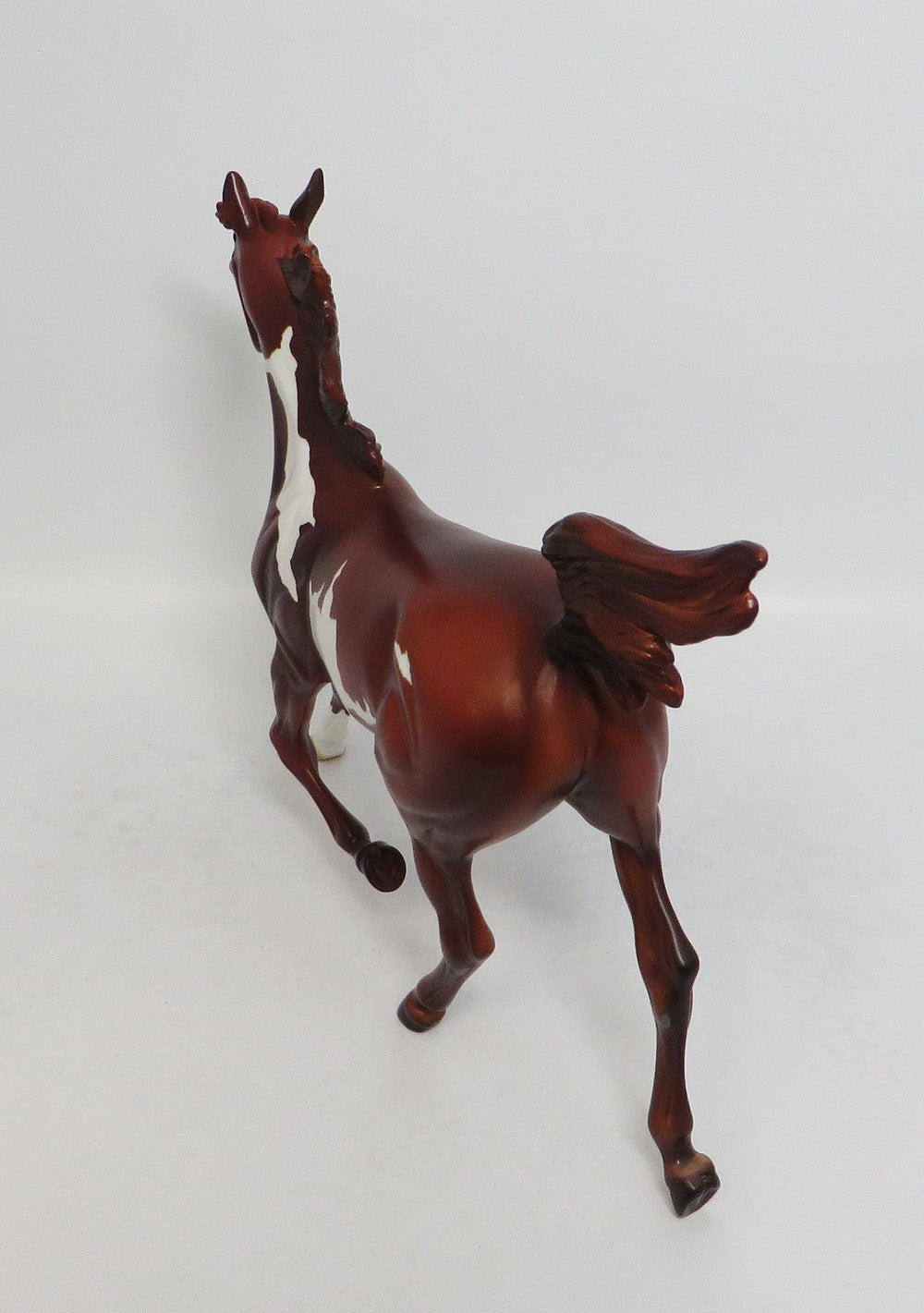 SARAH-LE-7 CHESTNUT PINTO YEARLING EQ 2018