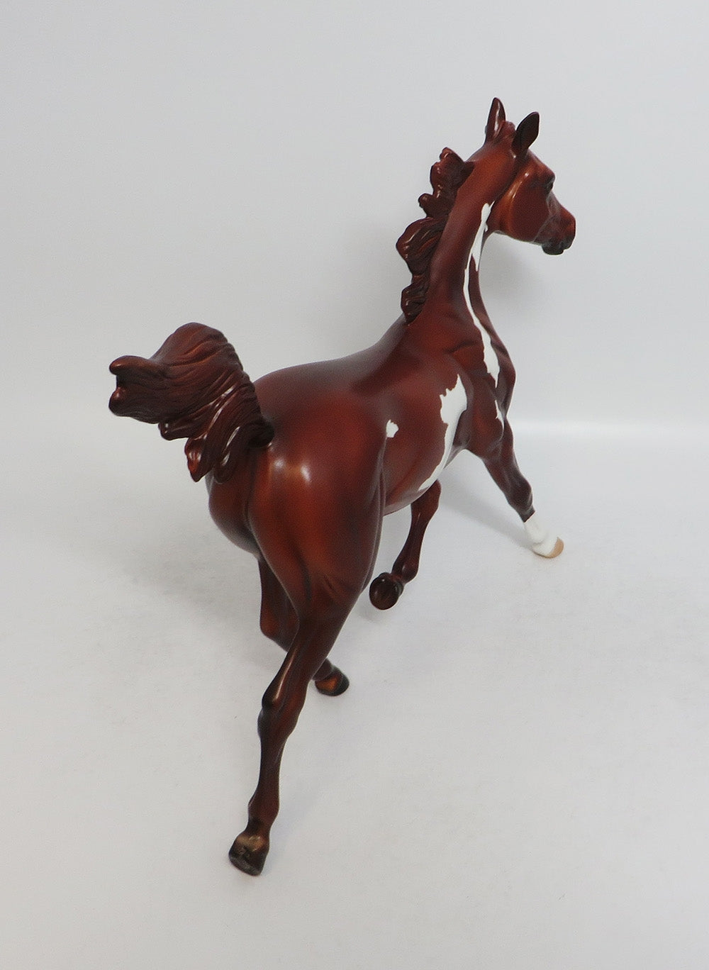 SARAH-LE-7 CHESTNUT PINTO YEARLING EQ 2018