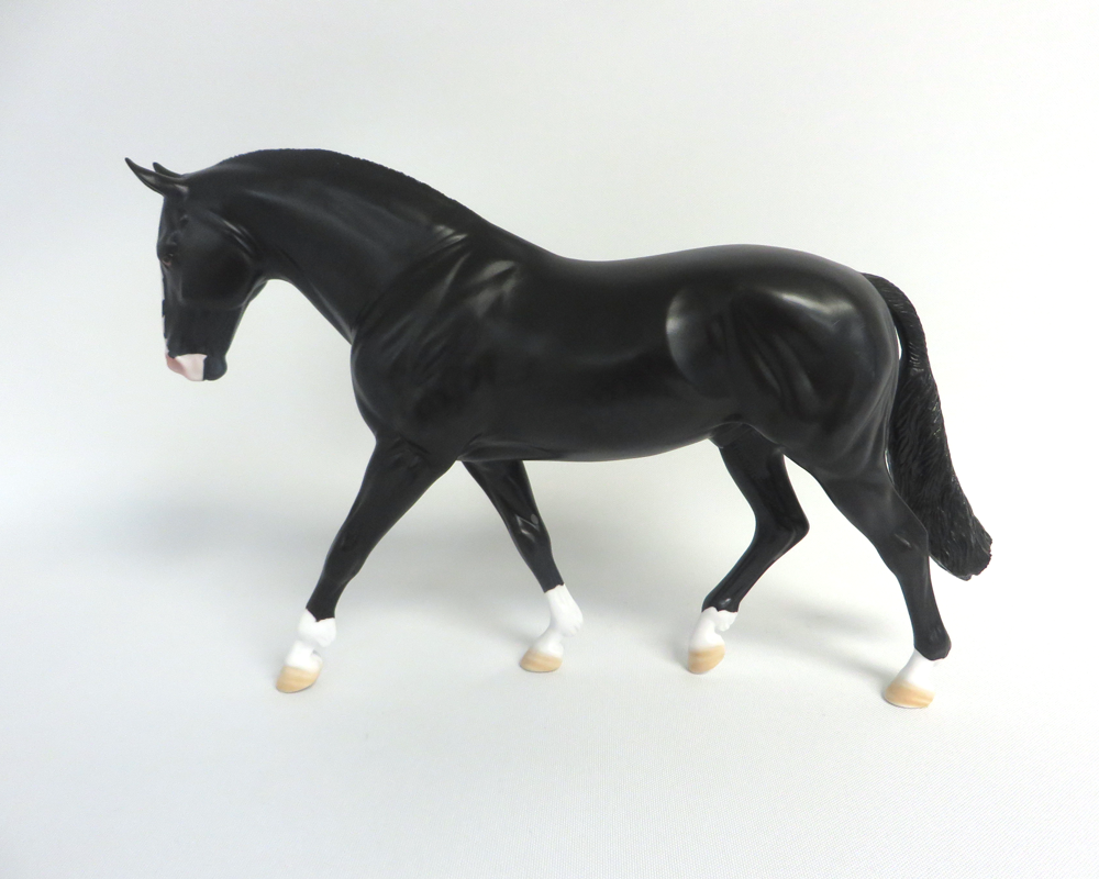 MADRAS- LE-15 DAPPLED BLACK IRISH DRAFT BY AMANDA  HOSTETLER SHCF 19