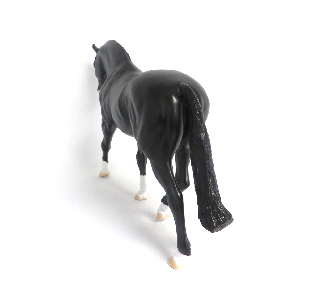 MADRAS- LE-15 DAPPLED BLACK IRISH DRAFT BY AMANDA  HOSTETLER SHCF 19