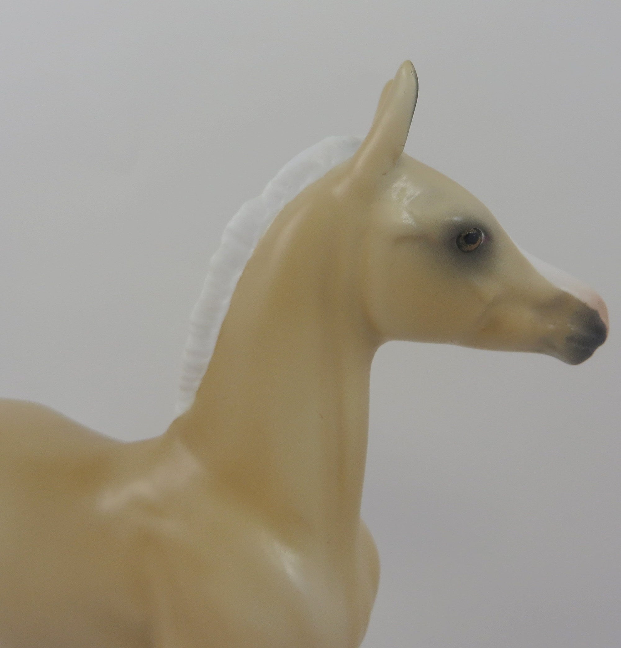 PALE COWGIRL-OOAK PALOMINO FOAL MODEL HORSE 8/20/19