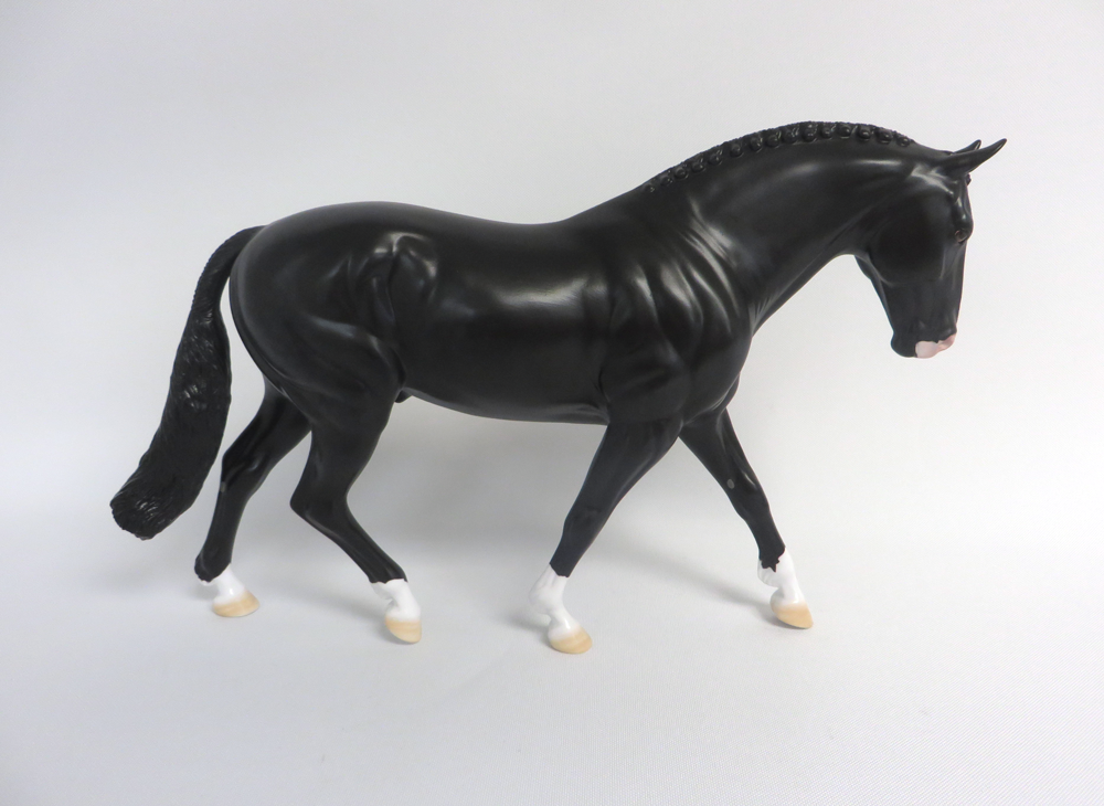 MADRAS- LE-15 DAPPLED BLACK IRISH DRAFT BY AMANDA  HOSTETLER SHCF 19