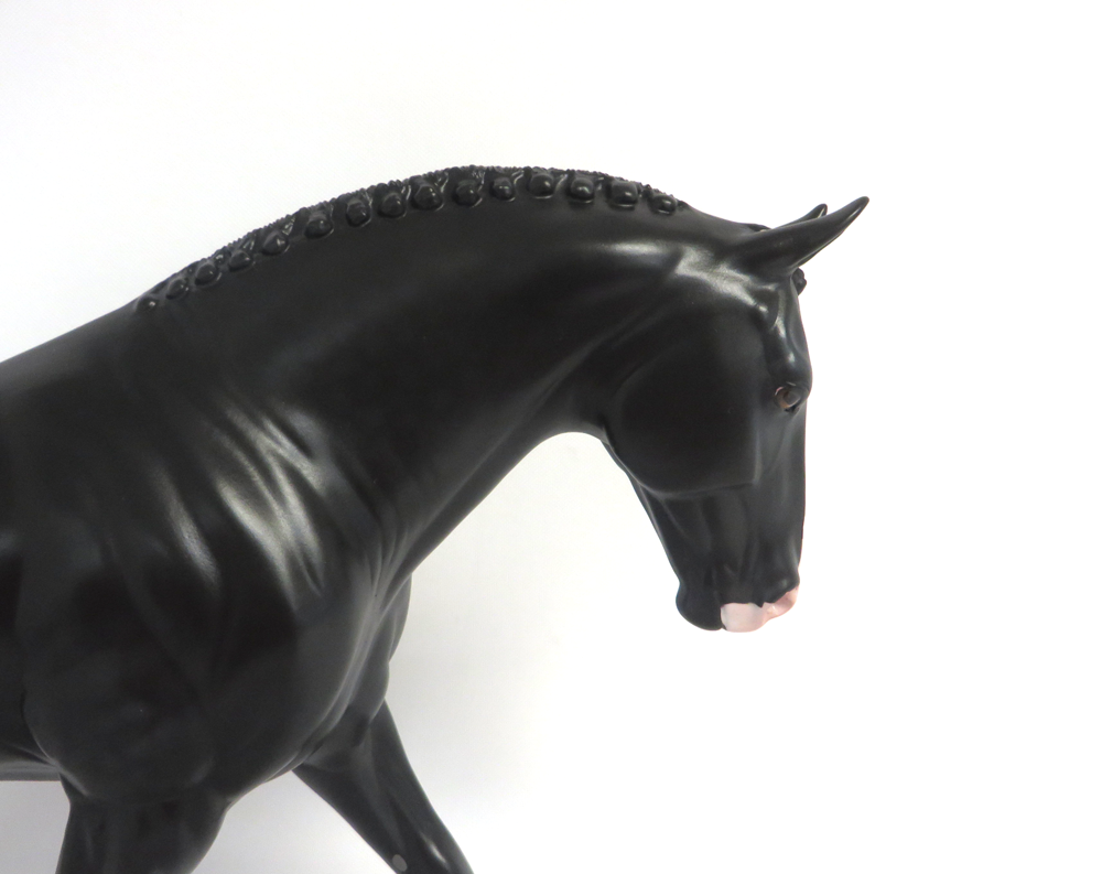 MADRAS- LE-15 DAPPLED BLACK IRISH DRAFT BY AMANDA  HOSTETLER SHCF 19