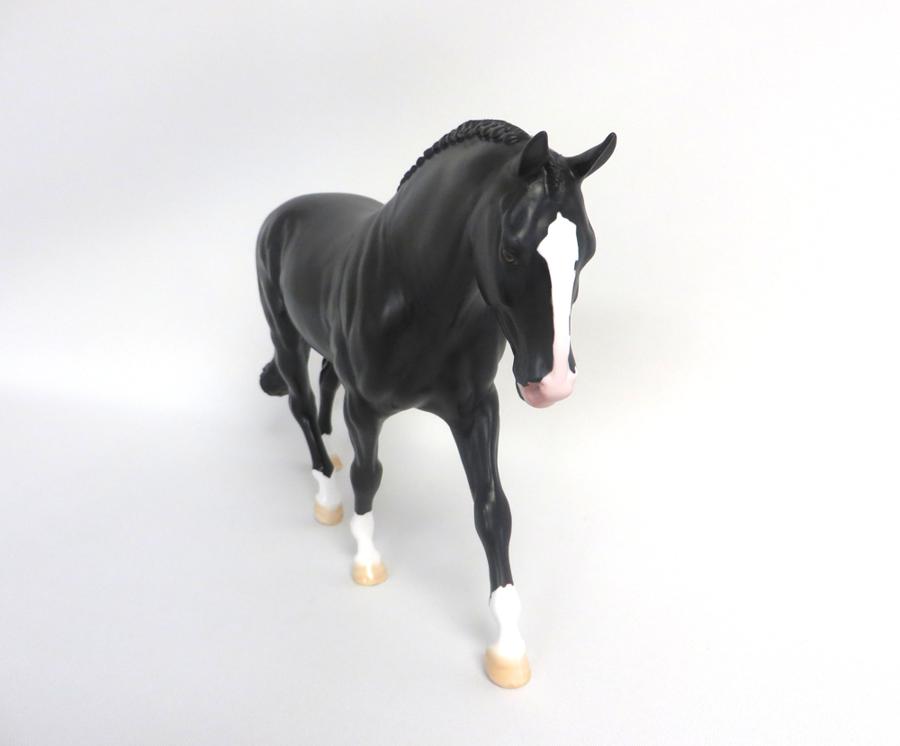 MADRAS- LE-15 DAPPLED BLACK IRISH DRAFT BY AMANDA  HOSTETLER SHCF 19