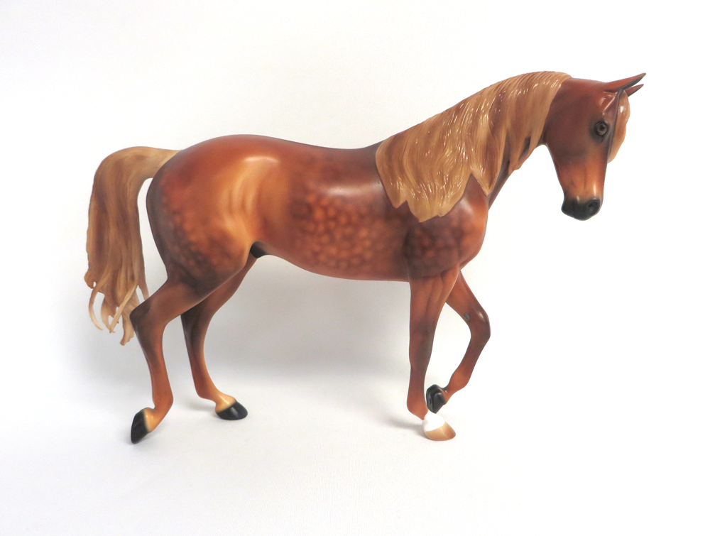 INNISWOOD- LE -13 DAPPLED CHESTNUT WITH FLAXEN MANE AN TAIL BY AUDREY DIXON MW19 EA19